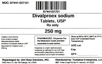 Divalproex Sodium 250 mg (8744102701 Divalproex Sodium 250 mg)